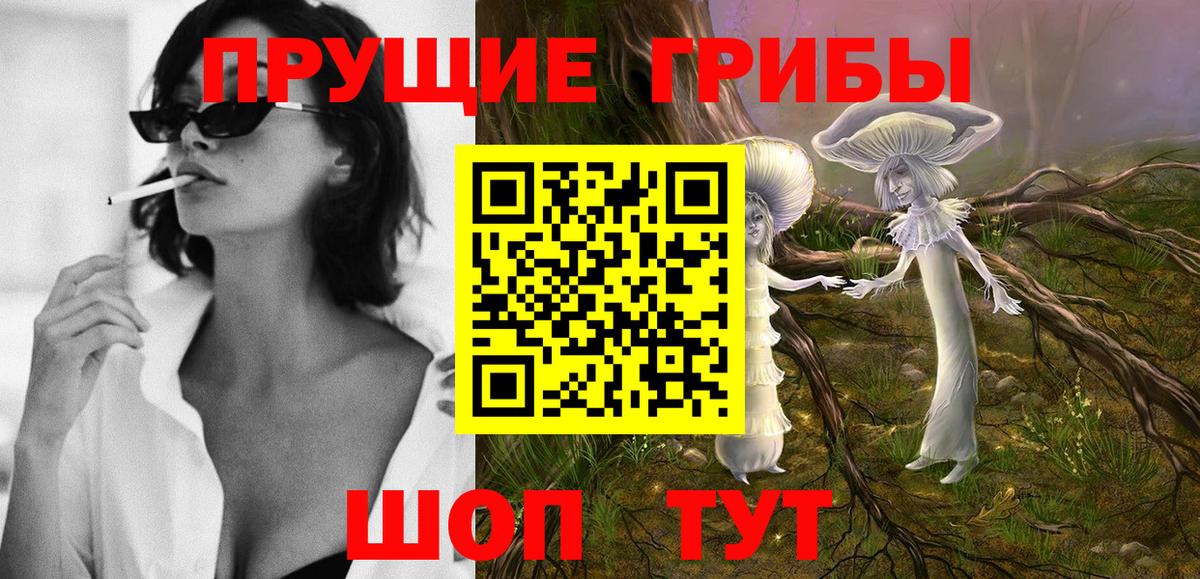 Тулун  даркнет сайт  Вход с VPN  Псилоцибиновые грибы Psilocybine cubensis  Галлюциногенные грибы мицелий 