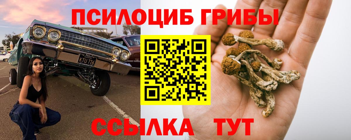 Псилоцибиновые грибы мицелий Тулун